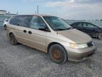 HONDA ODYSSEY LX photo