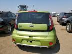 KIA SOUL + photo