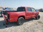 TOYOTA TACOMA DOU photo