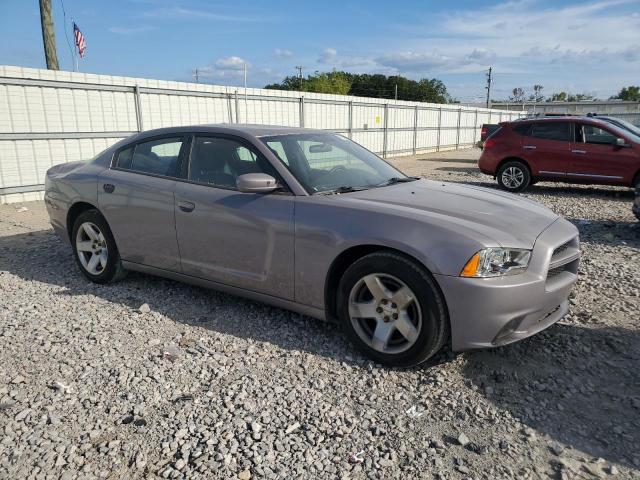 VIN 2C3CDXAT6DH560470 2013 Dodge Charger, Police no.4