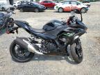 2024 KAWASAKI EX500 - ML5EXGG12RDA22657