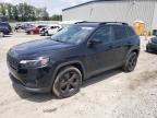 2019 JEEP CHEROKEE L - 1C4PJMLB9KD419153