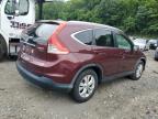 Lot #3025044300 2013 HONDA CR-V EXL