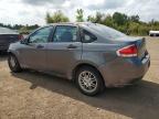 FORD FOCUS SE photo