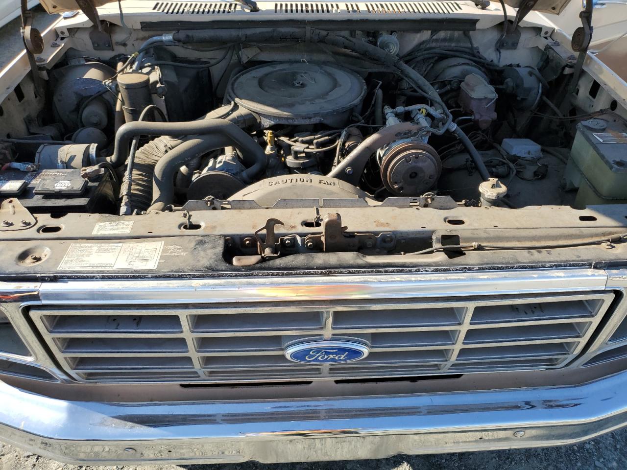 Lot #2969790361 1986 FORD F250