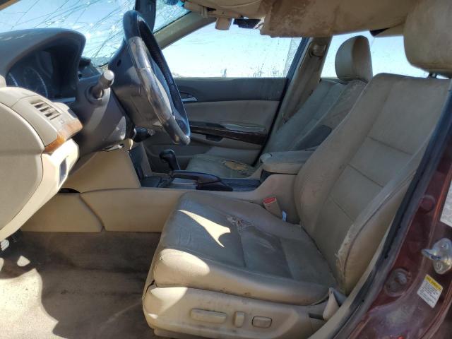 2010 HONDA ACCORD EXL 1HGCP2F80AA196231  68182384