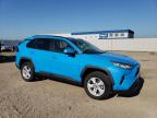 TOYOTA RAV4 XLE photo