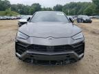 LAMBORGHINI URUS снимка