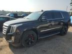 2019 CADILLAC ESCALADE P - 1GYS4CKJ0KR296764