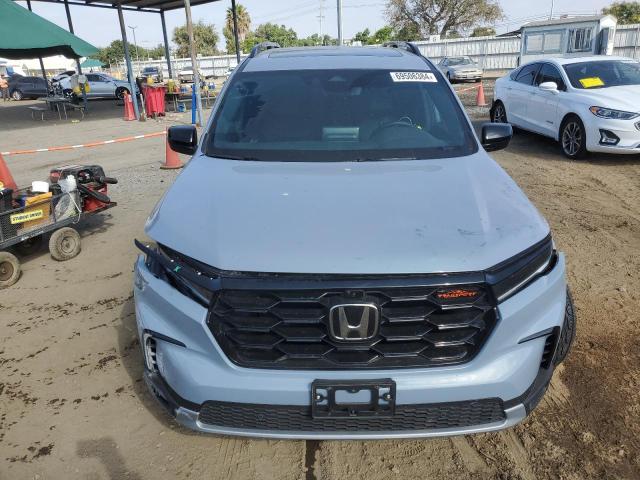 2024 HONDA PILOT TRAI 5FNYG1H68RB034201