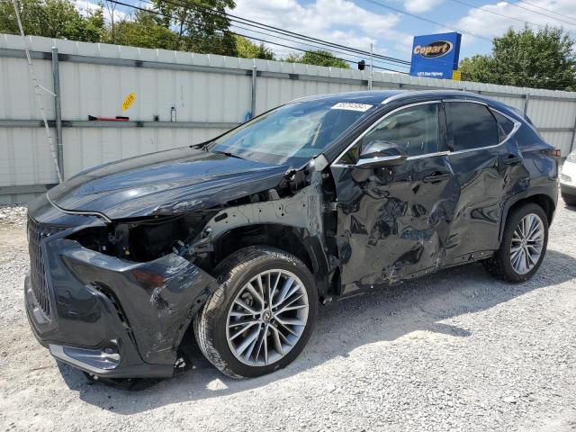 LEXUS NX 350H 2023 black  hybrid engine 2T2HKCEZ6PC014048 photo #1