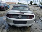 FORD MUSTANG photo