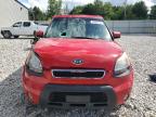 KIA SOUL + photo