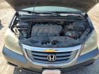 HONDA ODYSSEY EX photo