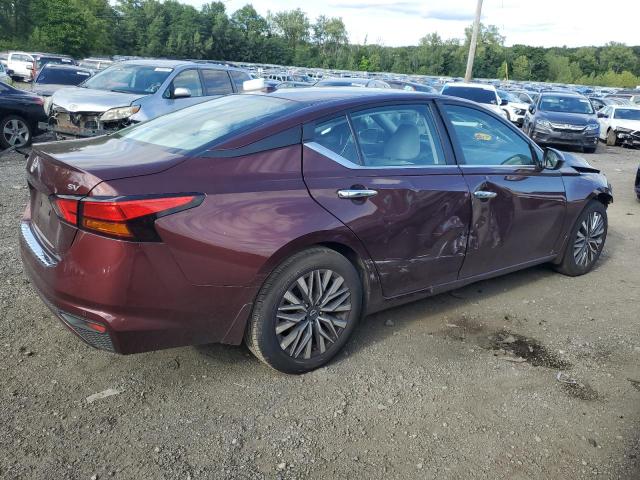Vin: 1n4bl4dvxpn391660, lot: 68321074, nissan altima sv 20233