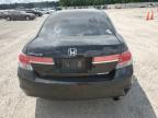 HONDA ACCORD SE photo