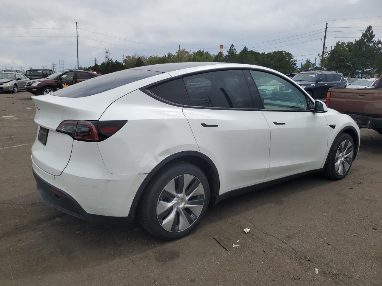 Lot #2926514279 2021 TESLA MODEL Y