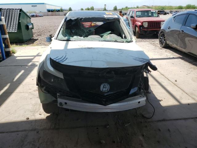 2010 ACURA TL - 19UUA8F52AA002412