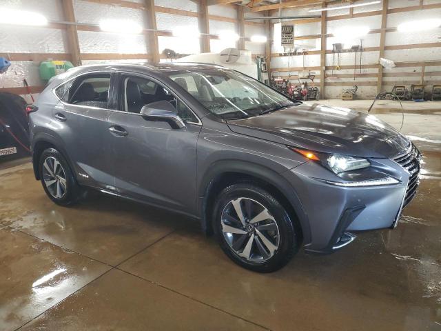 2021 LEXUS NX 300H BA JTJGJRDZ9M2158773