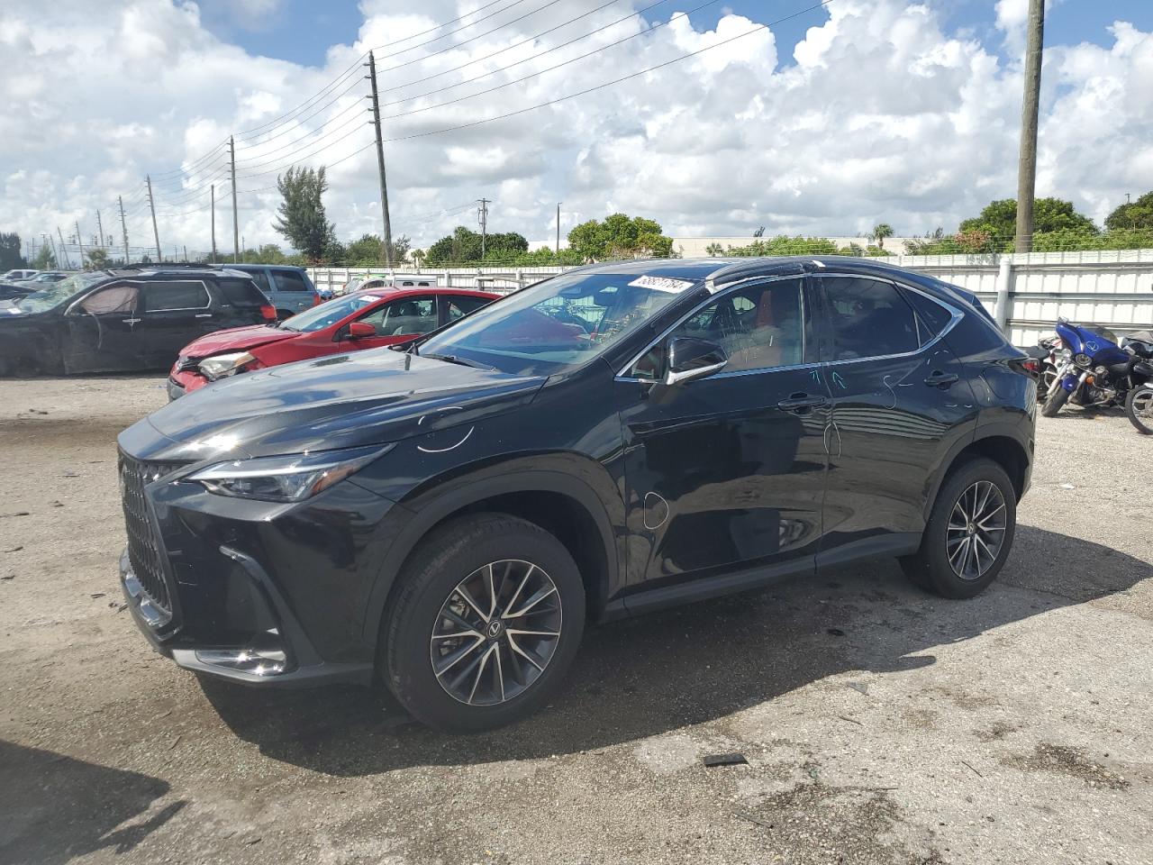 LEXUS NX 250 PRE 2024 black  gas 2T2GDCAZ3RC009145 photo #1