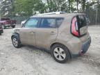 KIA SOUL photo