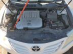 TOYOTA CAMRY SE photo