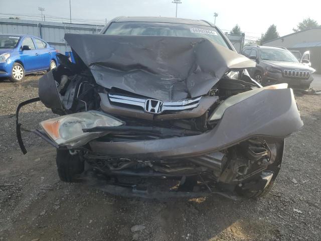 2009 HONDA CR-V EXL 5J6RE48759L046494  68992864