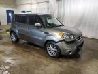 KIA SOUL + photo