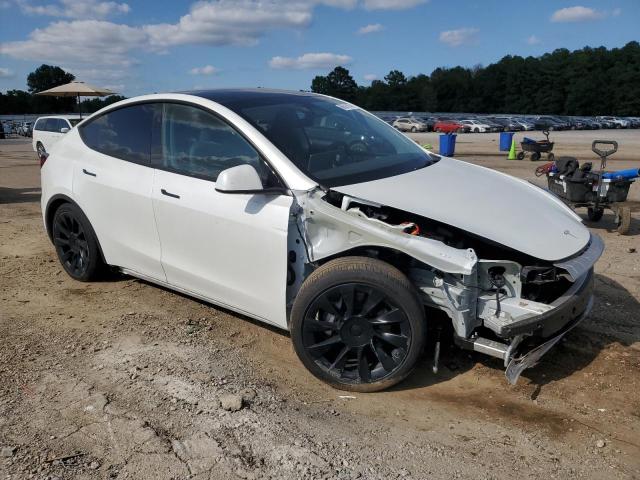 2023 TESLA MODEL Y - 7SAYGDEE8PA188871