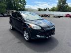 FORD ESCAPE SEL photo