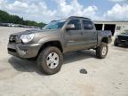 TOYOTA TACOMA DOU photo