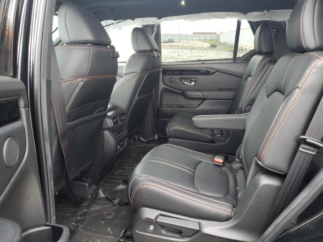 2024 HONDA PILOT TRAI 5FNYG1H61RB041362