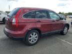 HONDA CR-V EX photo