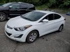 HYUNDAI ELANTRA SE photo