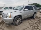 CADILLAC ESCALADE P photo