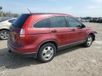 HONDA CR-V LX photo