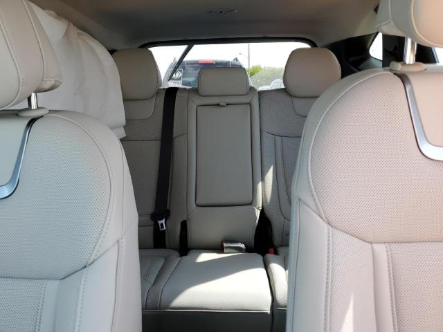 2024 HYUNDAI TUCSON LIM - 5NMJECDE0RH379270