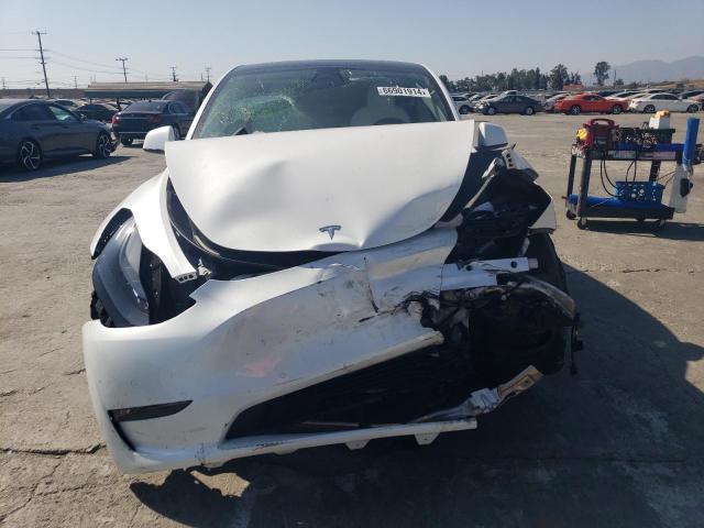 2022 TESLA MODEL Y - 7SAYGDEF8NF495109