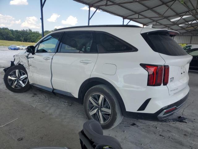 2023 KIA SORENTO S - 5XYRL4LC9PG206076