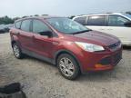 FORD ESCAPE S photo