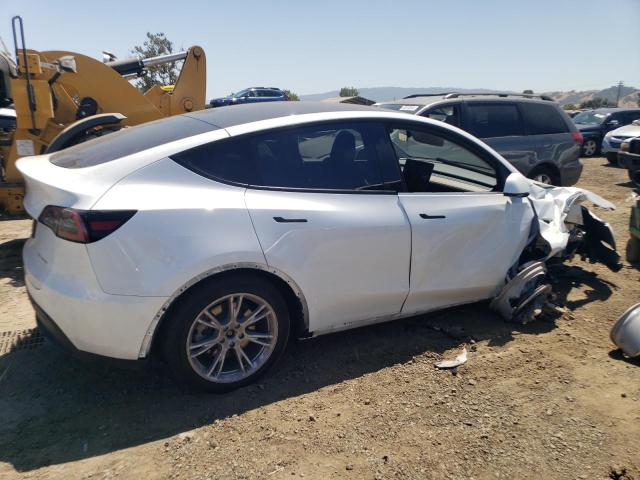 2023 TESLA MODEL Y - 7SAYGDEE5PF861196