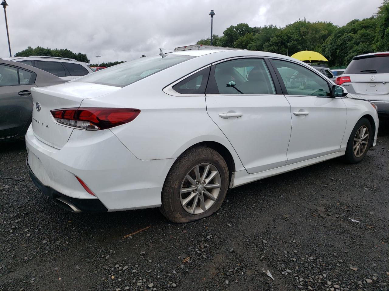 Lot #3034426726 2019 HYUNDAI SONATA SE