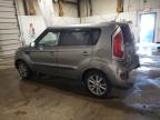 KIA SOUL + photo