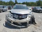 CADILLAC SRX PERFOR photo