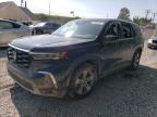 2024 HONDA PILOT EXL - 5FNYG1H51RB019899