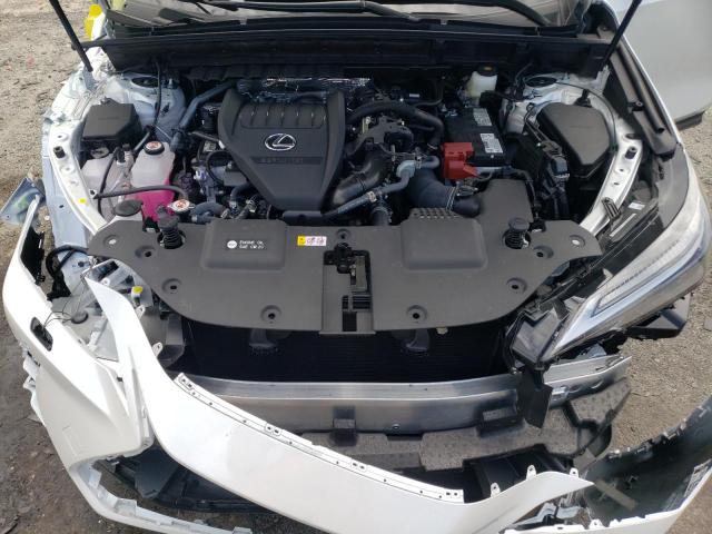 2024 LEXUS NX 350 LUX 2T2HGCEZ3RC035668