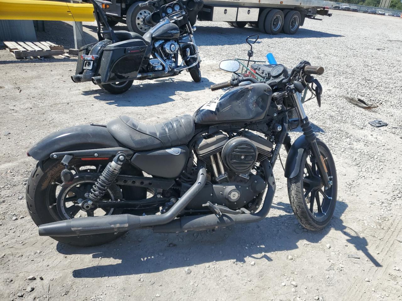 Harley Davidson XL883N / IRON 883 2022 