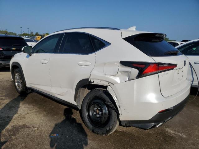 2020 LEXUS NX 300 JTJDARDZ0L5017218