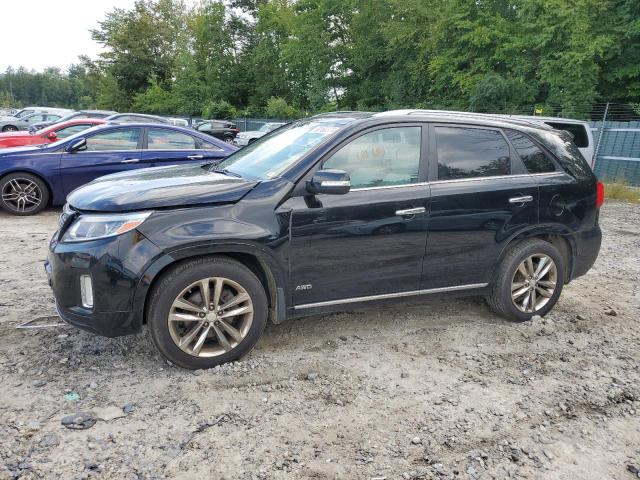 VIN 5XYKWDA7XEG534344 2014 KIA Sorento, SX no.1