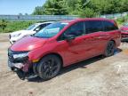 HONDA ODYSSEY SP photo